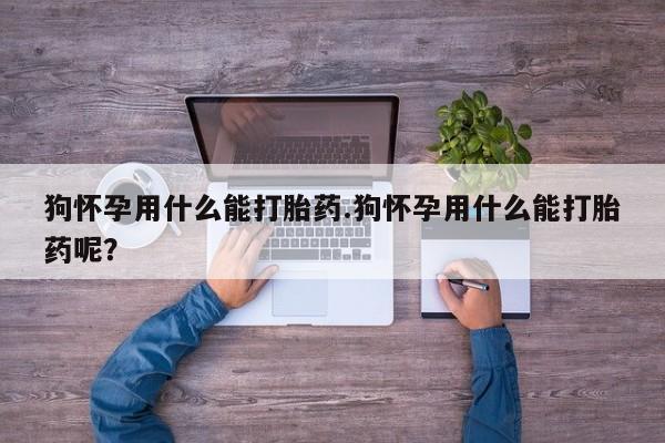 流产药使用狗怀孕用什么能打胎药.狗怀孕用什么能打胎药呢？