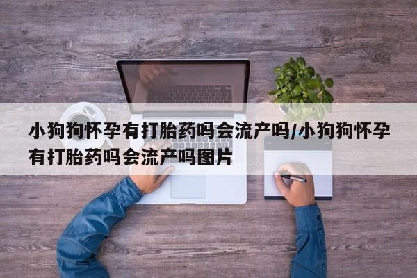 流产药使用小狗狗怀孕有打胎药吗会流产吗/小狗狗怀孕有打胎药吗会流产吗图片