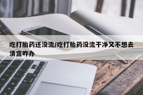 流产药使用吃打胎药还没流/吃打胎药没流干净又不想去清宫咋办