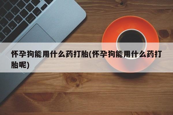 流产药使用怀孕狗能用什么药打胎(怀孕狗能用什么药打胎呢)
