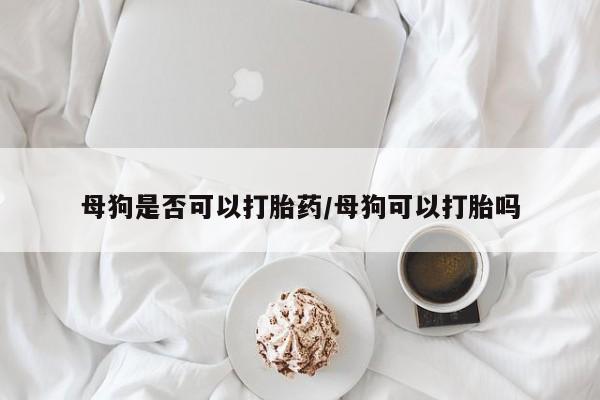 流产药使用母狗是否可以打胎药/母狗可以打胎吗